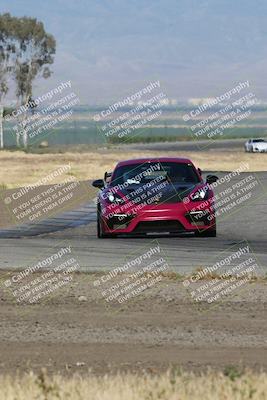 media/May-03-2024-PCA Central Coast (Fri) [[eaa7da0ee1]]/Yellow Group/Session 1 (Grapevine)/